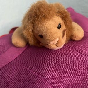 roary 1996 beanie baby